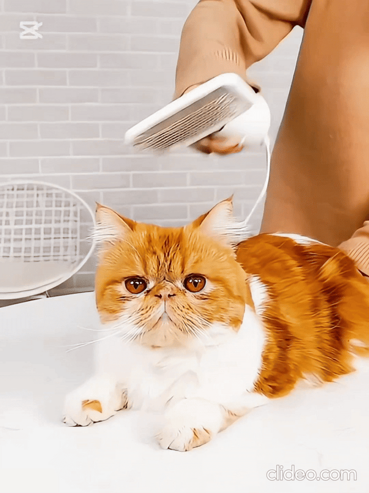 Peine secadora eléctrico para mascotas